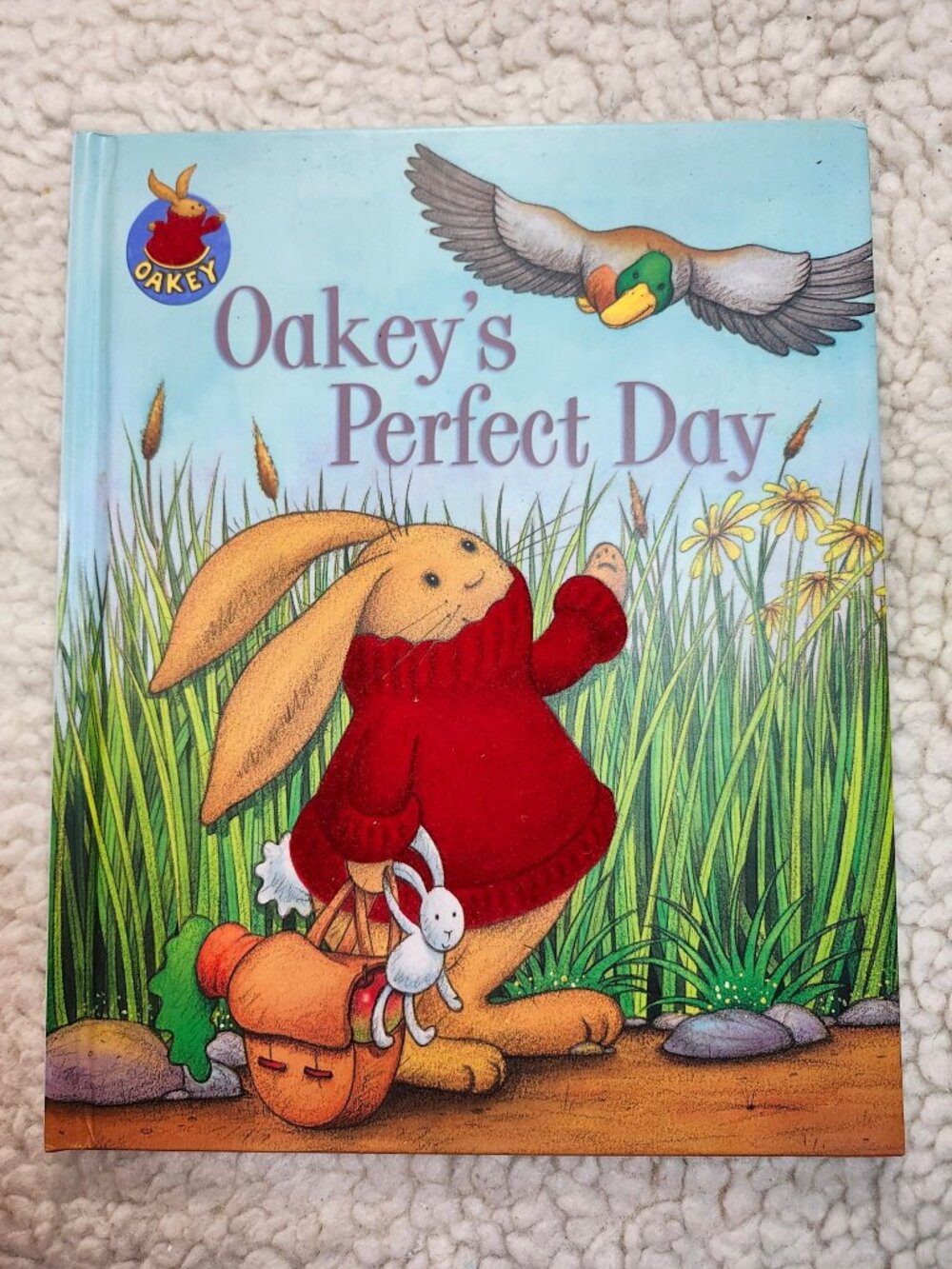 Oakeys Perfect Day Jillian Harker Parragon Hardcover Childrens Picture Book